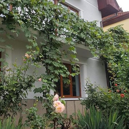 Madalina Apartment Brașov Exterior foto