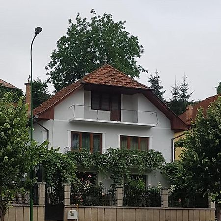 Madalina Apartment Brașov Exterior foto