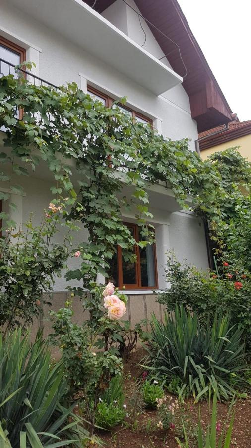 Madalina Apartment Brașov Exterior foto